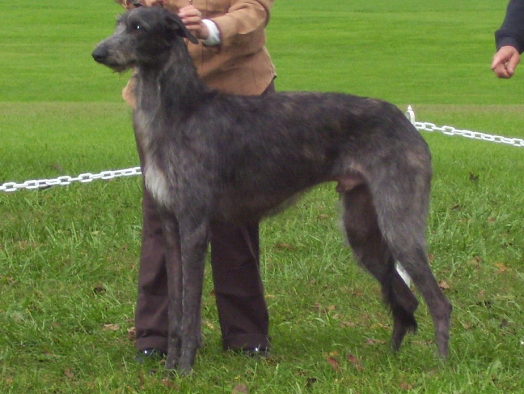 Duncan at 14 months