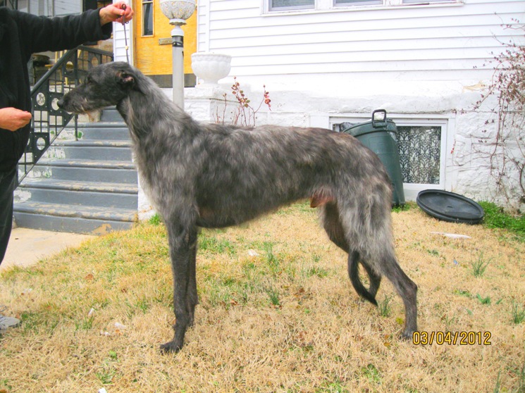 Duncan at 19 months