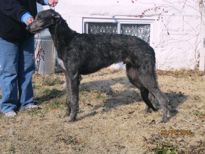 Duncan at 6 months