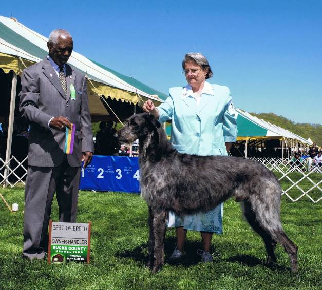 Duncan Best of Breed