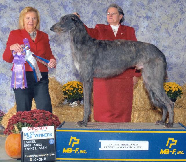 Duncan Best of Winners