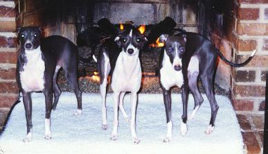 Sadie & daughters
